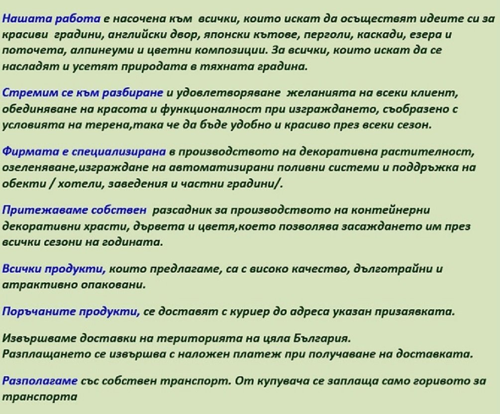 Лоигуструм за жив плет, (Ligustrum ovalifolium)