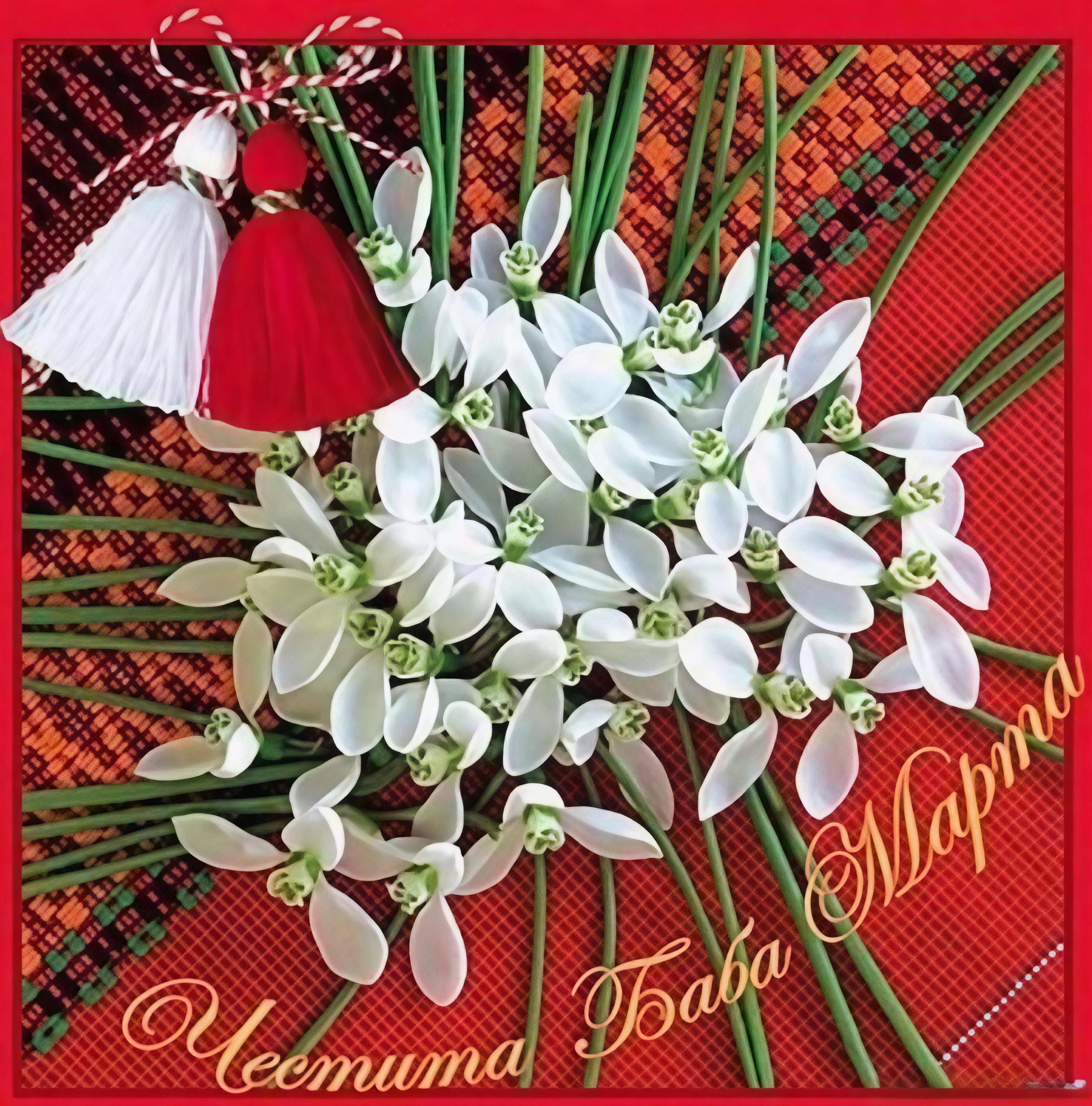 СУ "ВАСИЛ ДЕЧЕВ" ЧЕПЕЛАРЕ