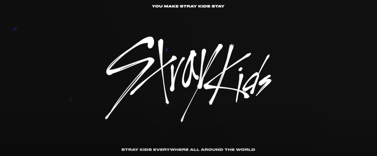 Stray kids логотип без фона