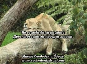 Не се хаби да си на макс