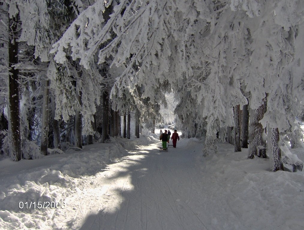 хижа "Буковец"