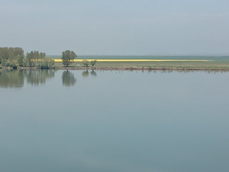 Пространства | Творческо пространство ВЕРИДАС